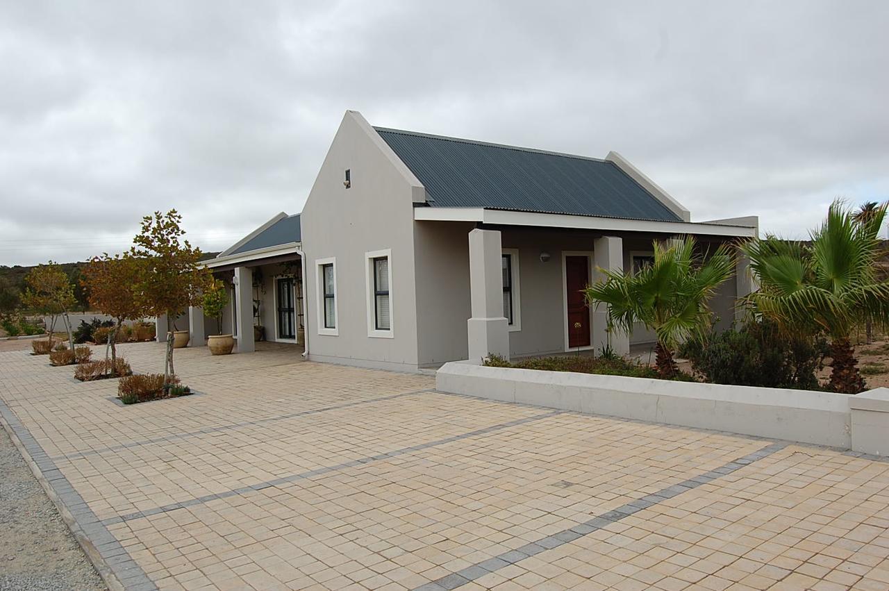 Longacre Olive & Vineyard Estate Vendégház Langebaan Kültér fotó