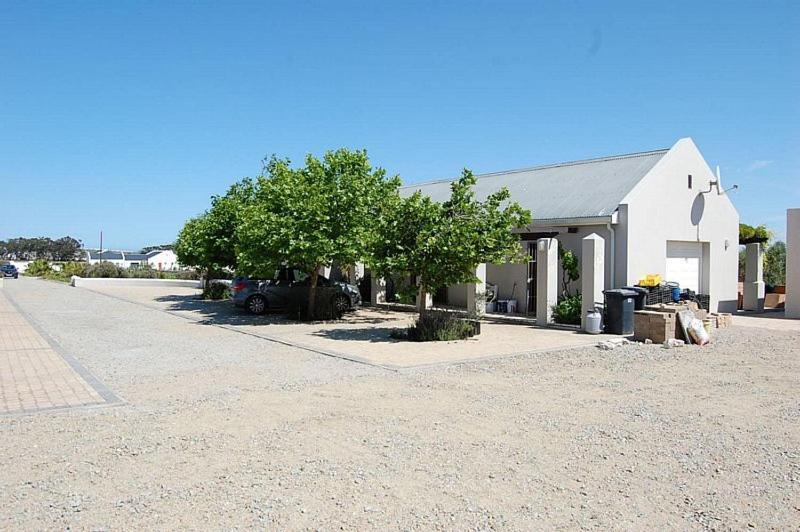 Longacre Olive & Vineyard Estate Vendégház Langebaan Kültér fotó