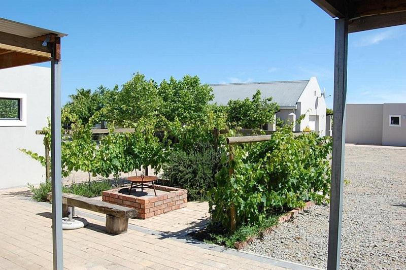 Longacre Olive & Vineyard Estate Vendégház Langebaan Kültér fotó