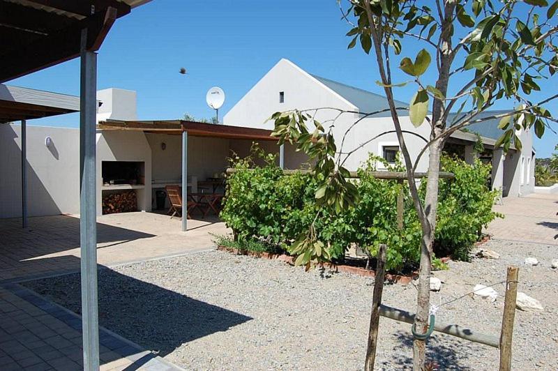 Longacre Olive & Vineyard Estate Vendégház Langebaan Kültér fotó
