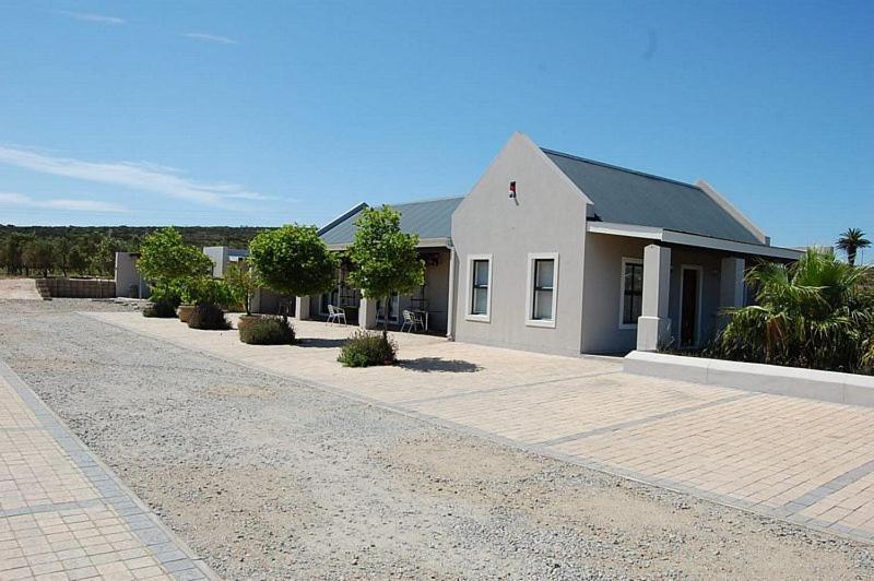 Longacre Olive & Vineyard Estate Vendégház Langebaan Kültér fotó