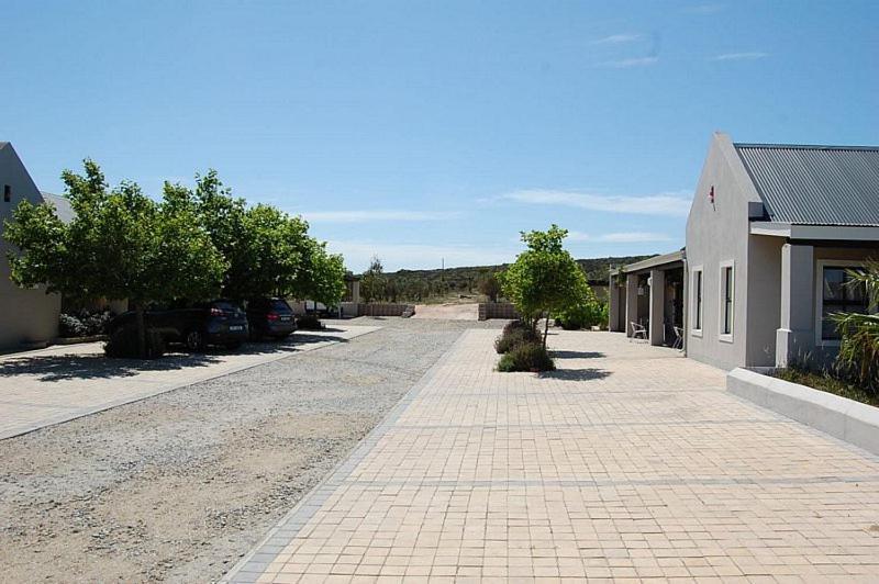 Longacre Olive & Vineyard Estate Vendégház Langebaan Kültér fotó